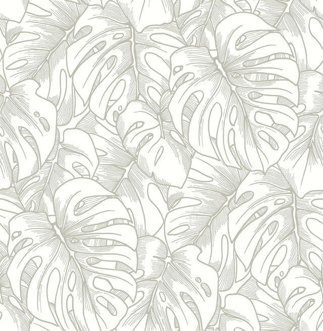 Balboa Silver Botanical Wallpaper with Metallic Monstera Leaf Motif - A-Street Prints 2964-87344