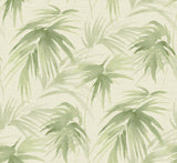 Darlana Green Grasscloth Wallpaper with Botanical Palm Motif - A-Street Prints 2964-87413