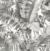Alfresco Grey Tropical Palm Wallpaper with Botanical Leaf Motif - A-Street Prints 2969-24134