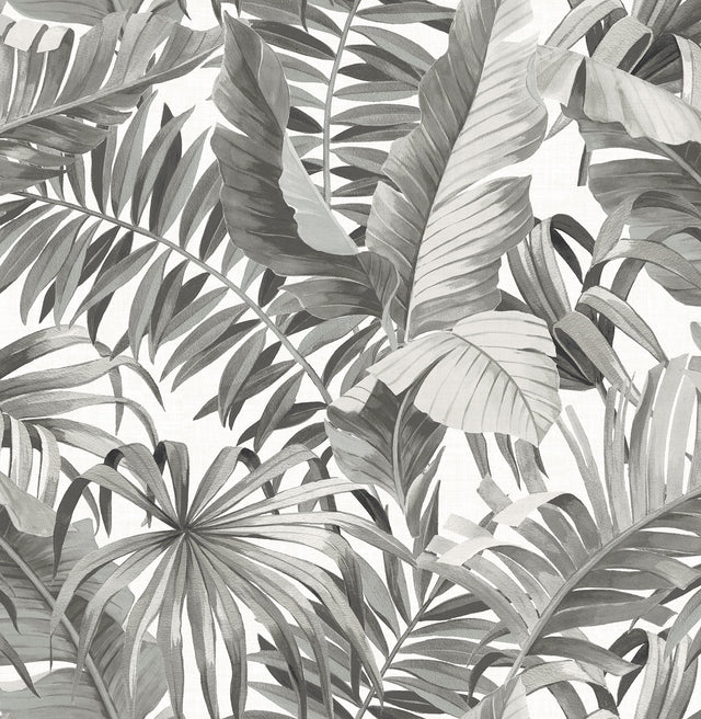 Alfresco Grey Tropical Palm Wallpaper with Botanical Leaf Motif - A-Street Prints 2969-24134