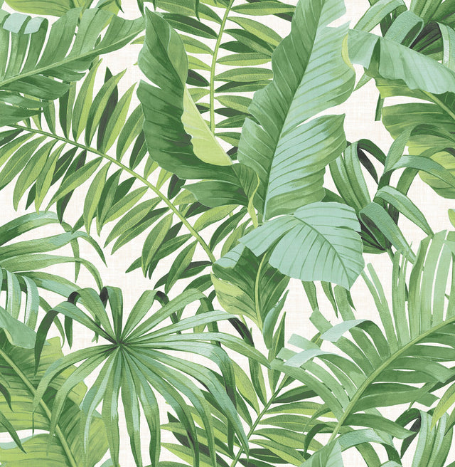 Alfresco Green Tropical Palm Wallpaper with Botanical Leaf Motif - Brewster 2969-24136
