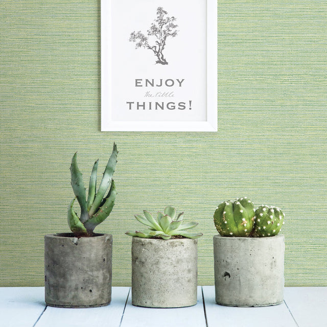 Agave Green Imitation Grasscloth Wallpaper with Raised Ink Texture - A-Street Prints 2969-24284