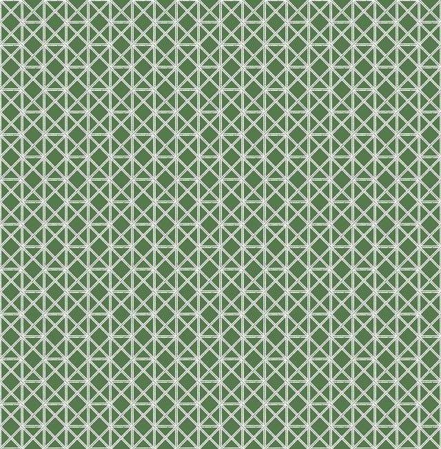 Lisbeth Green Geometric Lattice Wallpaper with Coastal Graphic Trellis - A-Street Prints 2969-26001