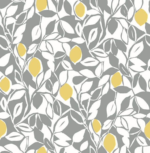 Loretto Grey Citrus Wallpaper with Eclectic Botanical Fruit Pattern - A-Street Prints 2969-26025
