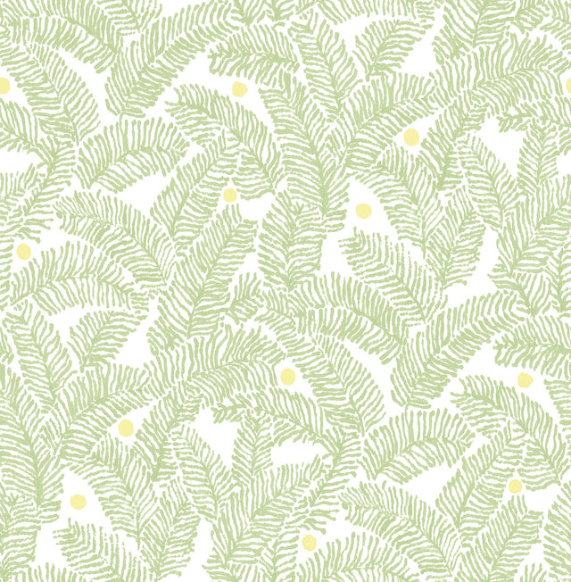 Athina Sage Fern Wallpaper with Botanical Leaves Motif, Bohemian Style - Brewster 2969-26033