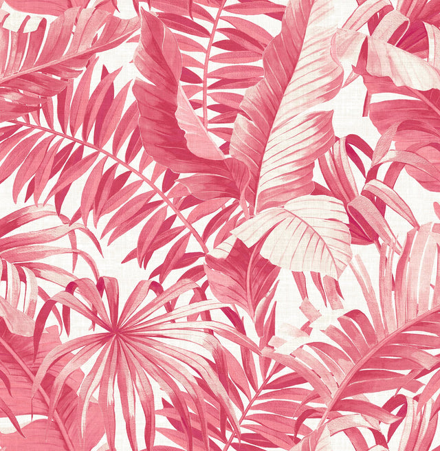 Alfresco Pink Tropical Palm Wallpaper with Botanical Leaf Motif - A?Street Prints 2969-26054