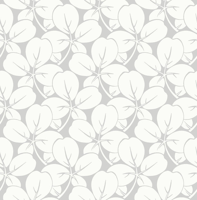 Robert Light Grey Clover Wallpaper with Eclectic Botanical Clover Pattern - A-Street Prints 2970-26107
