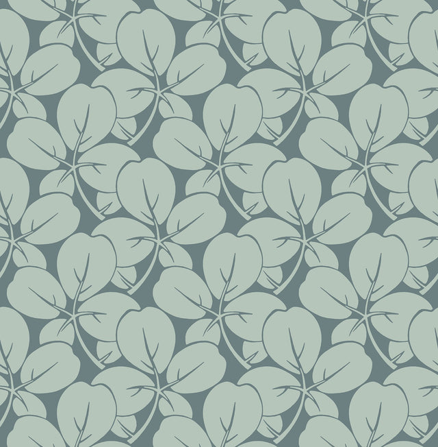 Robert Aqua Clover Botanical Non Woven Wallpaper - A-Street Prints 2970-26108