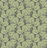 Robert Green Clover Wallpaper with Eclectic Botanical Motif - A?Street Prints 2970-26109