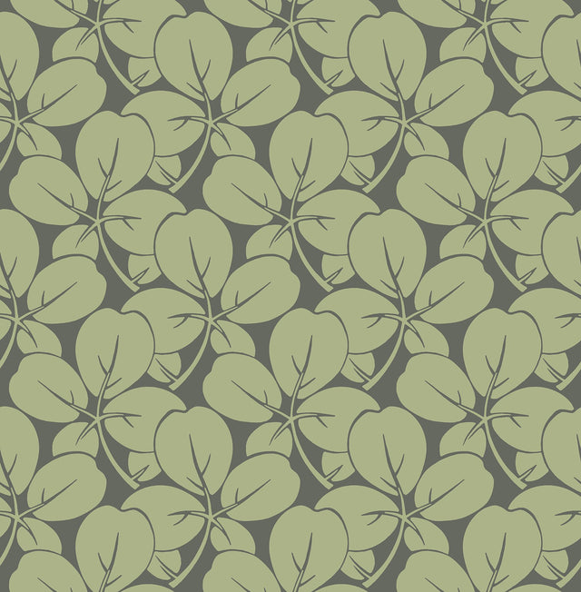 Robert Green Clover Wallpaper with Eclectic Botanical Motif - A?Street Prints 2970-26109