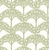 Dawson Green Magnolia Tree Wallpaper with Modern Botanical Trees Pattern - A-Street Prints 2970-26114