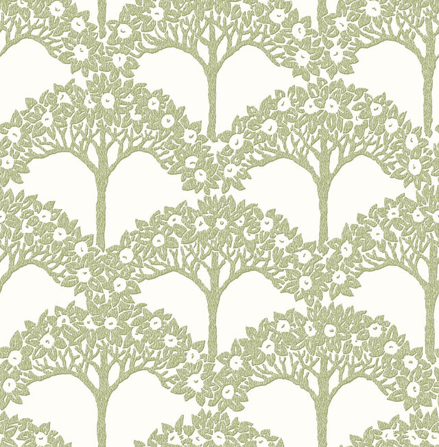Dawson Green Magnolia Tree Wallpaper with Modern Botanical Trees Pattern - A-Street Prints 2970-26114