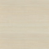 Hiromi Champagne Abaca Grasscloth Wallpaper with Distressed Textures - A-Street Prints 2972-54745