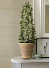 Hiromi Champagne Abaca Grasscloth Wallpaper with Distressed Textures - A-Street Prints 2972-54745