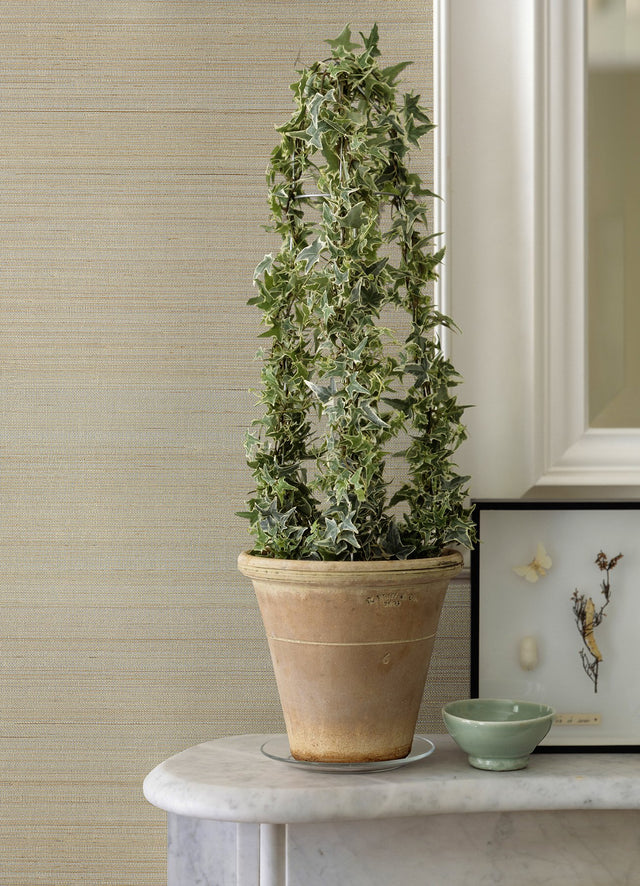 Hiromi Champagne Abaca Grasscloth Wallpaper with Distressed Textures - A-Street Prints 2972-54745