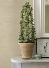 Hetao Cream Sisal Grasscloth Wallpaper, Fine Woven Modern Texture - A-Street Prints 2972-54760