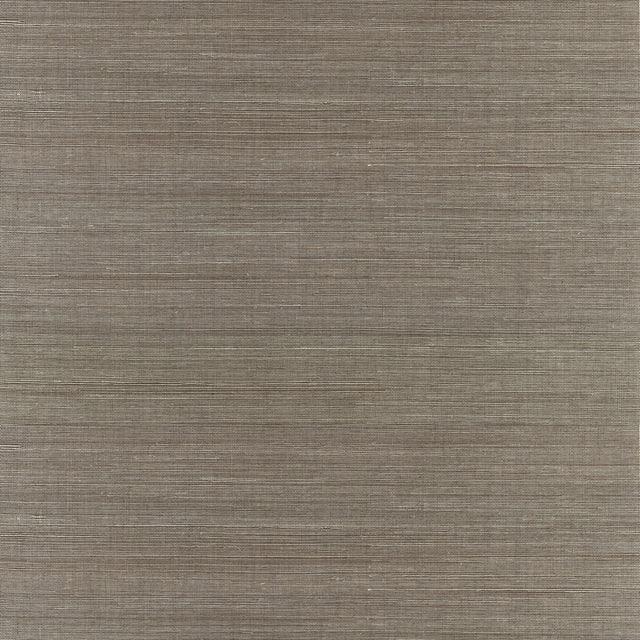 Jiao Metallic Sisal Grasscloth Wallpaper Metallic - 2972-65409