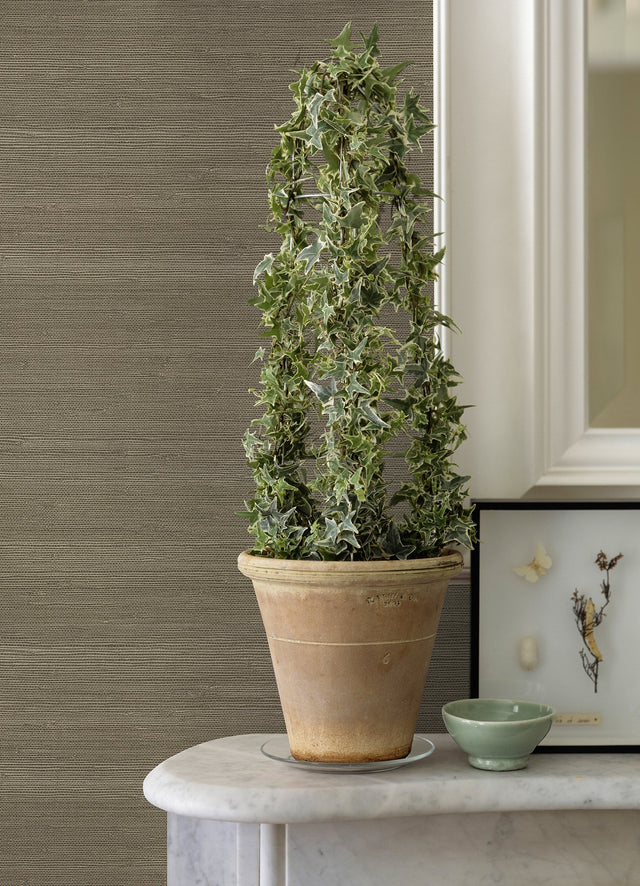 Battan Olive Jute Grasscloth Wallpaper with Distressed Textures - A?Street Prints 2972-65655