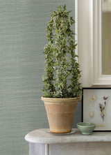 Mai Aqua Abaca Grasscloth Wallpaper with Variegated Pinstripe Texture - A-Street Prints 2972-86106