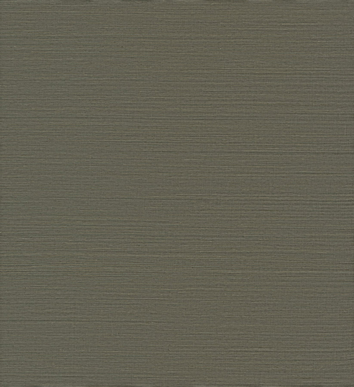 Caihon Green Sisal Grasscloth Wallpaper with Distressed Textures - A?Street Prints 2972-86120