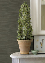 Caihon Green Sisal Grasscloth Wallpaper with Distressed Textures - A?Street Prints 2972-86120