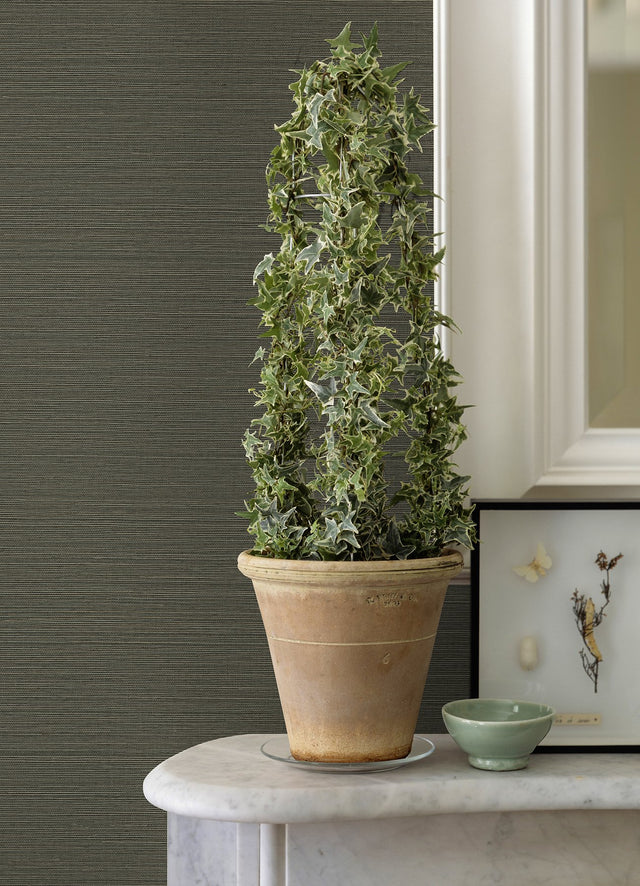 Caihon Green Sisal Grasscloth Wallpaper with Distressed Textures - A?Street Prints 2972-86120
