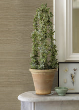 Sakiya Neutral Sisal Grasscloth Wallpaper with Distressed Textures - A?Street Prints 2972-86136