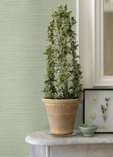 Sakiya Seafoam Sisal Grasscloth Wallpaper with Distressed Textures Motif, Modern Style - Brewster 2972-86137