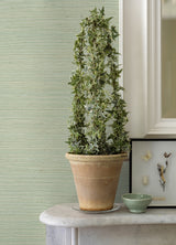 Maguey Sisal Vanilla Sage by Ronald Redding Grasscloth Wallpaper – York Designer Series GRL86137