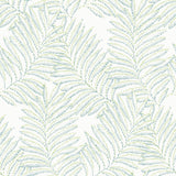 Finnley Green Inked Fern Wallpaper with Botanical Fern Motif - A-Street Prints 2973-90501
