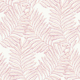 Finnley Pink Inked Fern Wallpaper with Botanical Farmhouse Style - Brewster 2973-90502