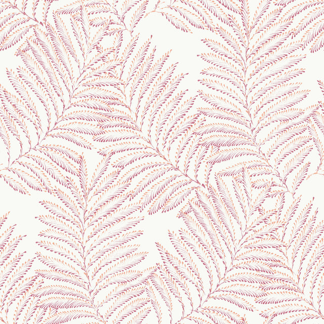 Finnley Pink Inked Fern Wallpaper with Botanical Farmhouse Style - Brewster 2973-90502