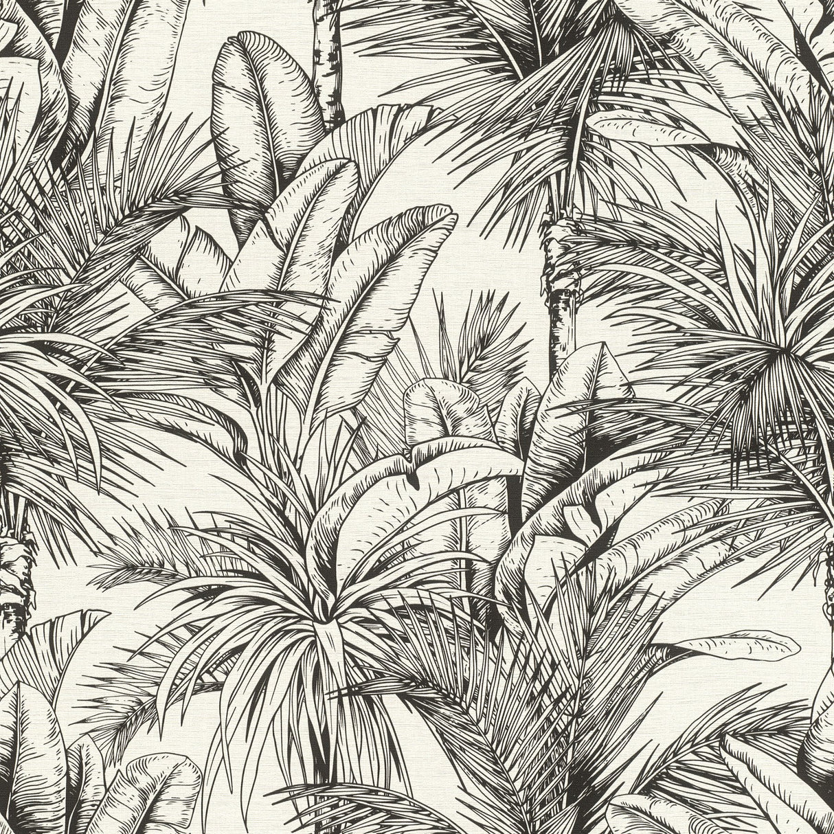 Serra White Palm Wallpaper in White with Textured Tropical Botanical Palm Pattern - Advantage 2980-478013