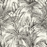 Serra White Palm Wallpaper in White with Textured Tropical Botanical Palm Pattern - Advantage 2980-478013