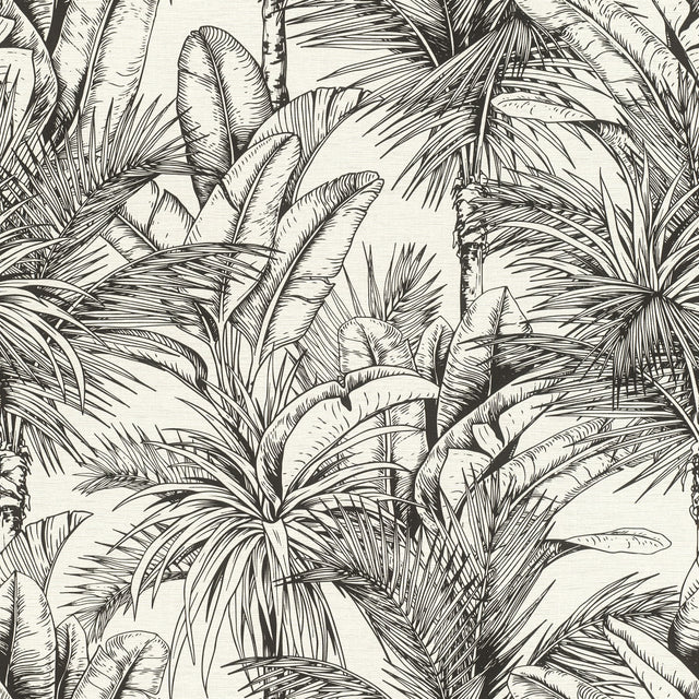 Serra White Palm Wallpaper in White with Textured Tropical Botanical Palm Pattern - Advantage 2980-478013