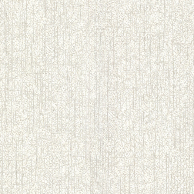 Nagano White Distressed Texture Wallpaper with Raised Ink Traditional Abstract Pattern - Warner 2984-2211