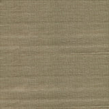 Bohemian Bling Olive Basketweave Wallpaper with Metallic Raised Ink Texture - Warner 2984-2784