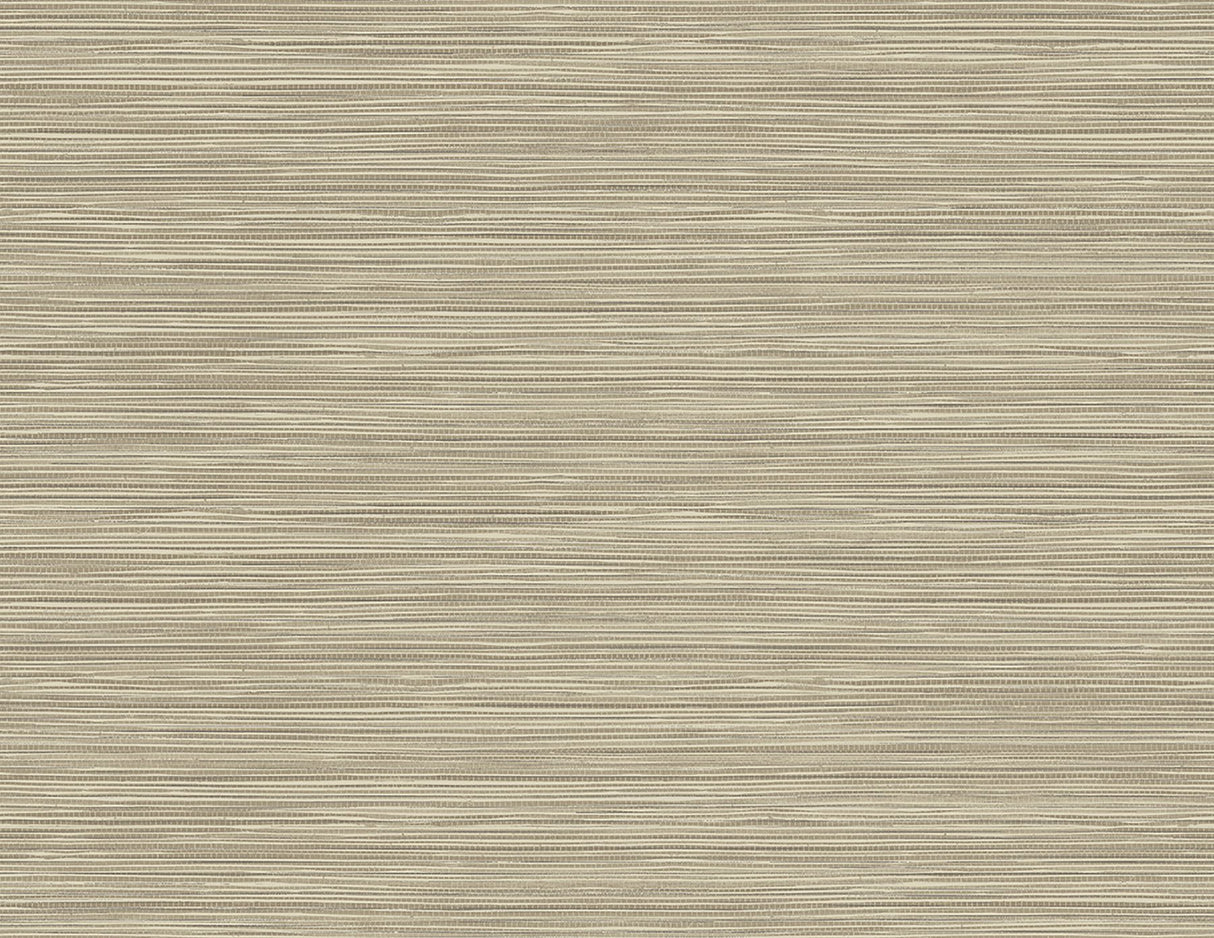 Bondi Beige Grasscloth Texture Wallpaper with Faux Grasscloth Traditional Style - 2984-40906