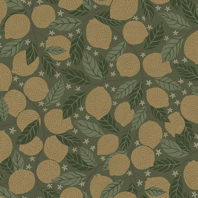 Lemona Green Fruit Tree Wallpaper with Botanical Fruit Pattern - A-Street Prints 2999-44119