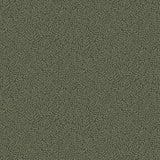 Anna Dark Green Fern Trail Wallpaper with Botanical Leaf Motif - A-Street Prints 2999-55000