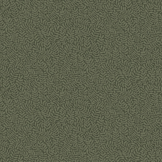 Anna Dark Green Fern Trail Wallpaper with Botanical Leaf Motif - A-Street Prints 2999-55000