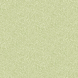 Anna Light Green Fern Trail Wallpaper with Scandinavian Botanical Leaf Pattern - Brewster 2999-55001