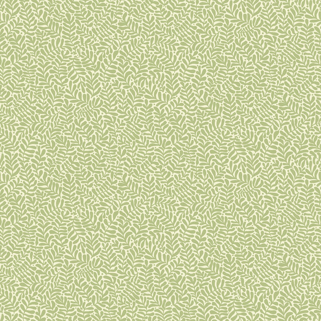 Anna Light Green Fern Trail Wallpaper with Scandinavian Botanical Leaf Pattern - Brewster 2999-55001