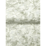 Thicket Sage by Chesapeake Forest Wallpaper – Brewster Home Fashions 4169-83109