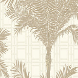 Copacabana Warm Silver palm tree and bamboo grid wallpaper by Boråstapeter for Schumacher