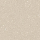 Washi Paper in Stone by Boråstapeter for Schumacher, minimalist textured wallpaper in neutral beige tones