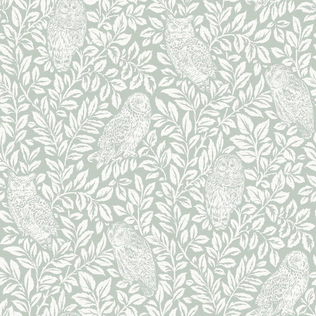 Parliament Teal Owl Wallpaper with Farmhouse Owl and Leaf Motif - Chesapeake 3115-12414