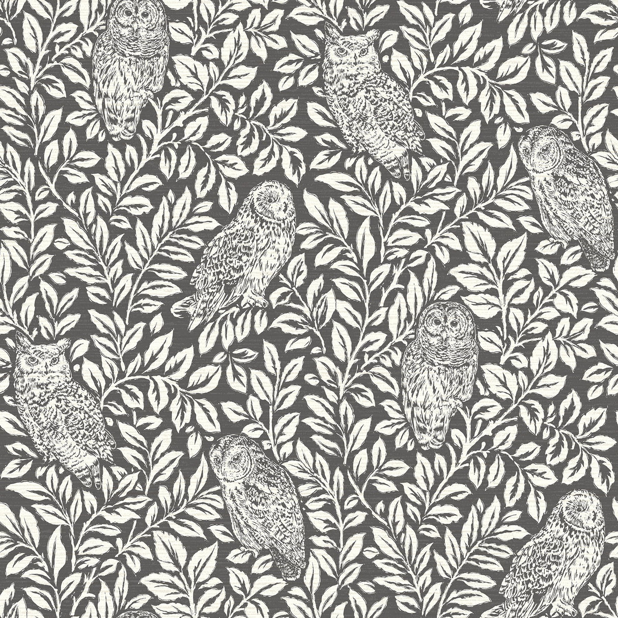 Parliament Brown Owl Wallpaper with Farmhouse Owl Vine Pattern - Chesapeake 3115-12415