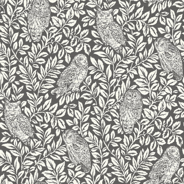 Parliament Brown Owl Wallpaper with Farmhouse Owl Vine Pattern - Chesapeake 3115-12415