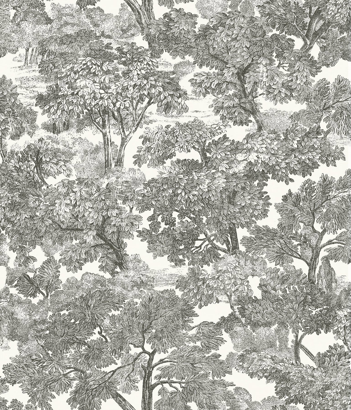 Spinney Black Toile Wallpaper with Hand-Drawn Vintage Woodland Pattern - Chesapeake 3115-12542